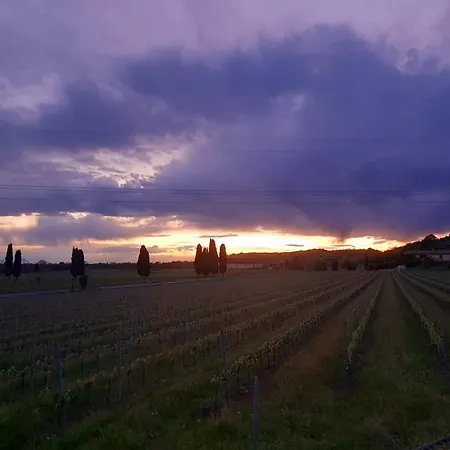 Casa Vittoria-relax Tra Di Garda E Verona Holiday home Custoza