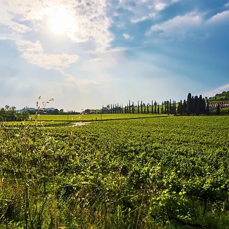 Casa Vittoria-relax Tra Di Garda E Verona Semesterbostad *